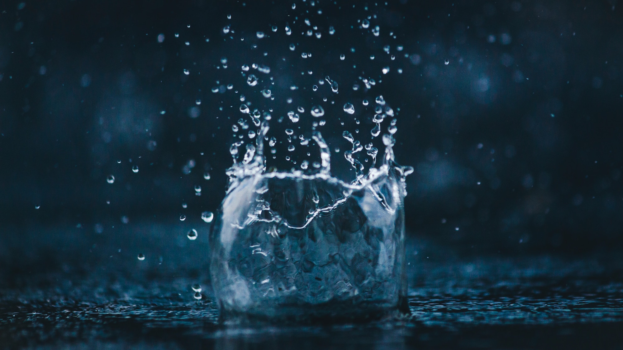 amadej-tauses-xWOTojs1eg4-unsplash amadej-tauses-xWOTojs1eg4-unsplash
